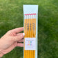 Customized Pencils!