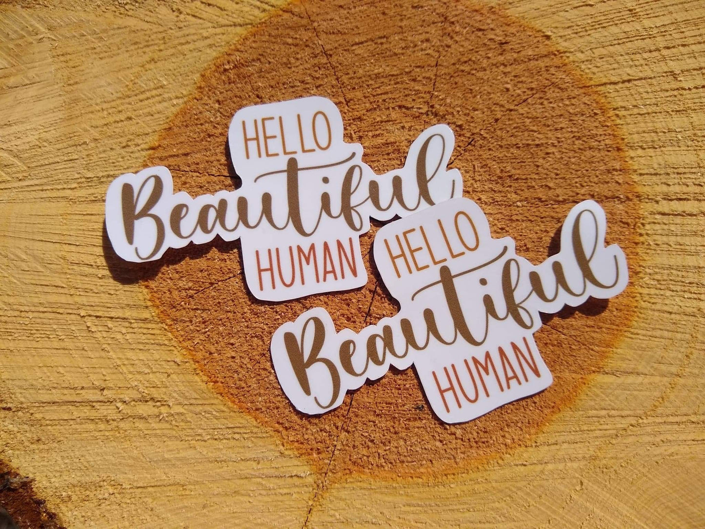 Hello Beautiful Human Sticker