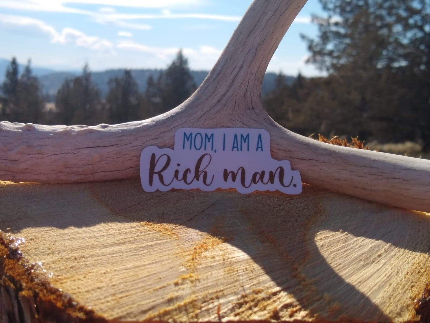 Mom I am a rich man sticker