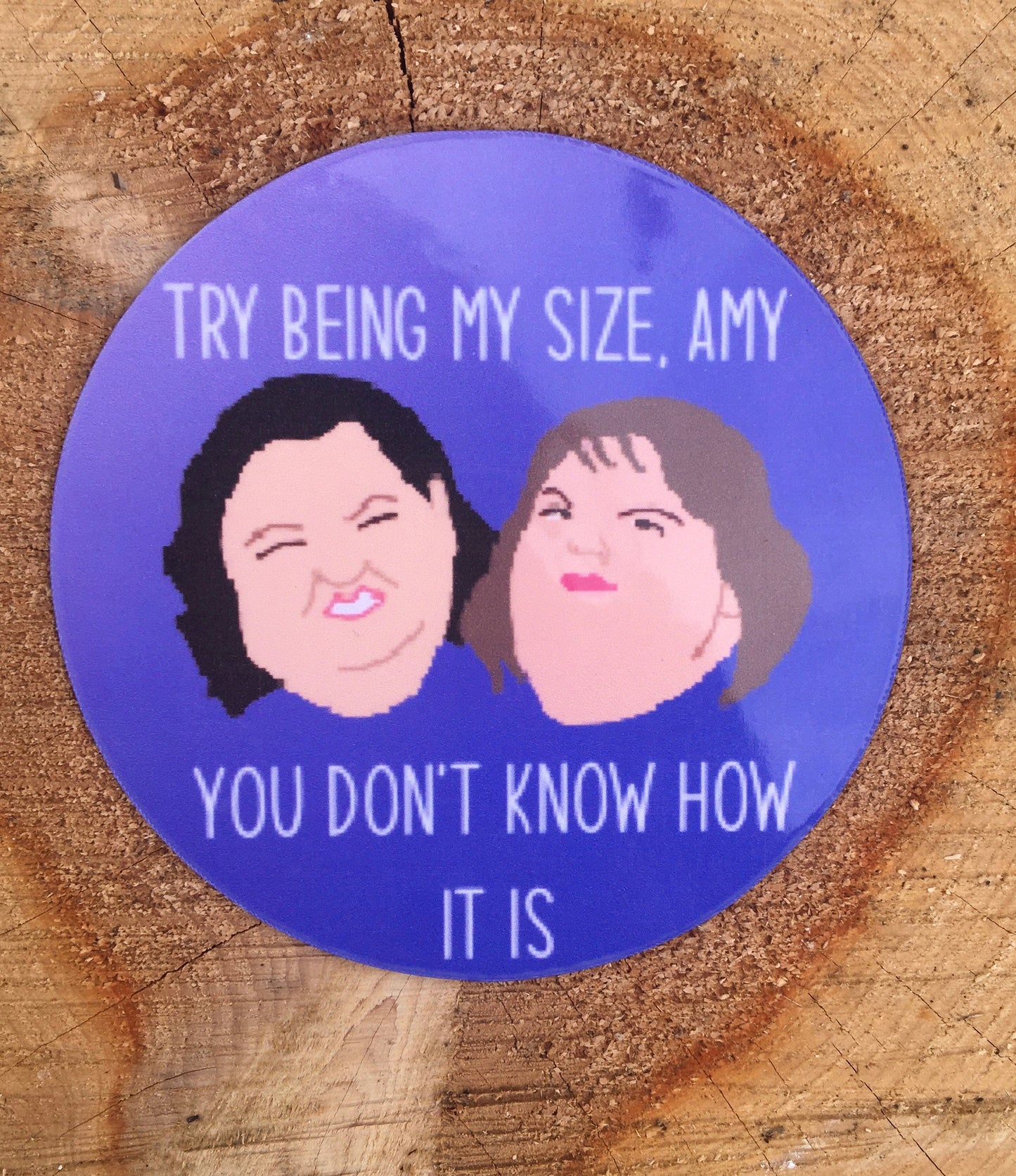 1000 lb. Sisters Refrigerator Magnet Set / Dr Now Magnet Set / Try Being My Size Amy / You Don’t Know How It Is / magnet